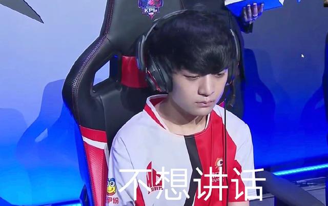 其他L